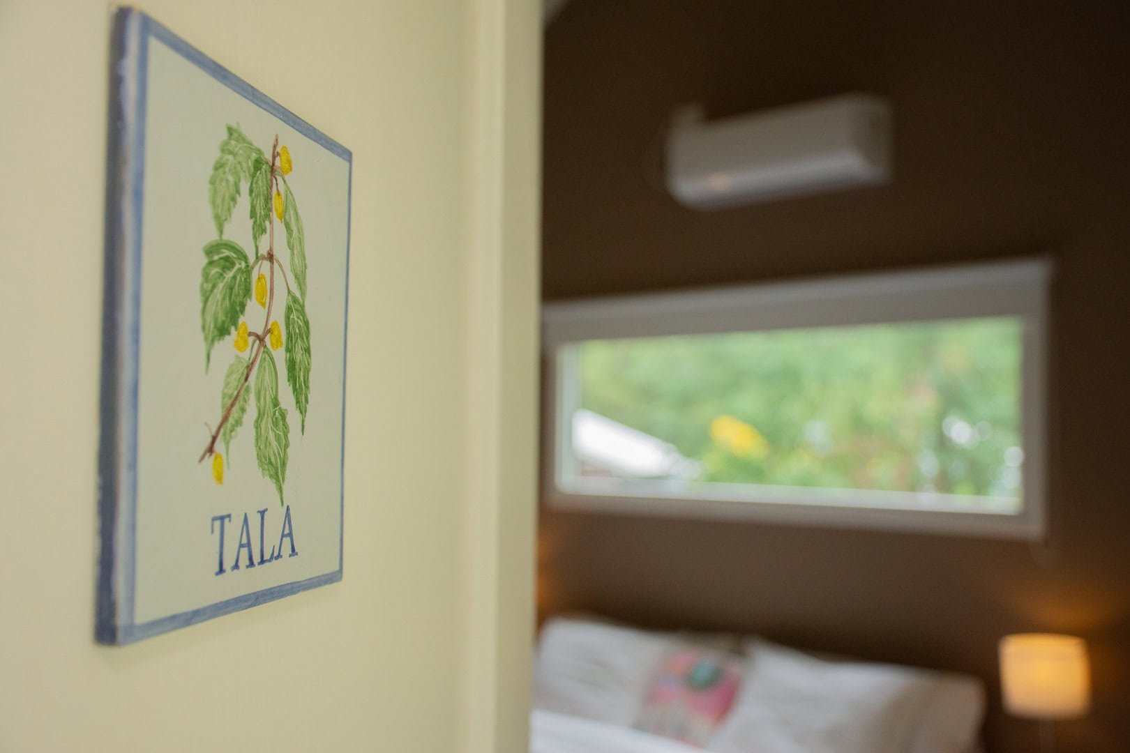 doble sup carrusel (5)